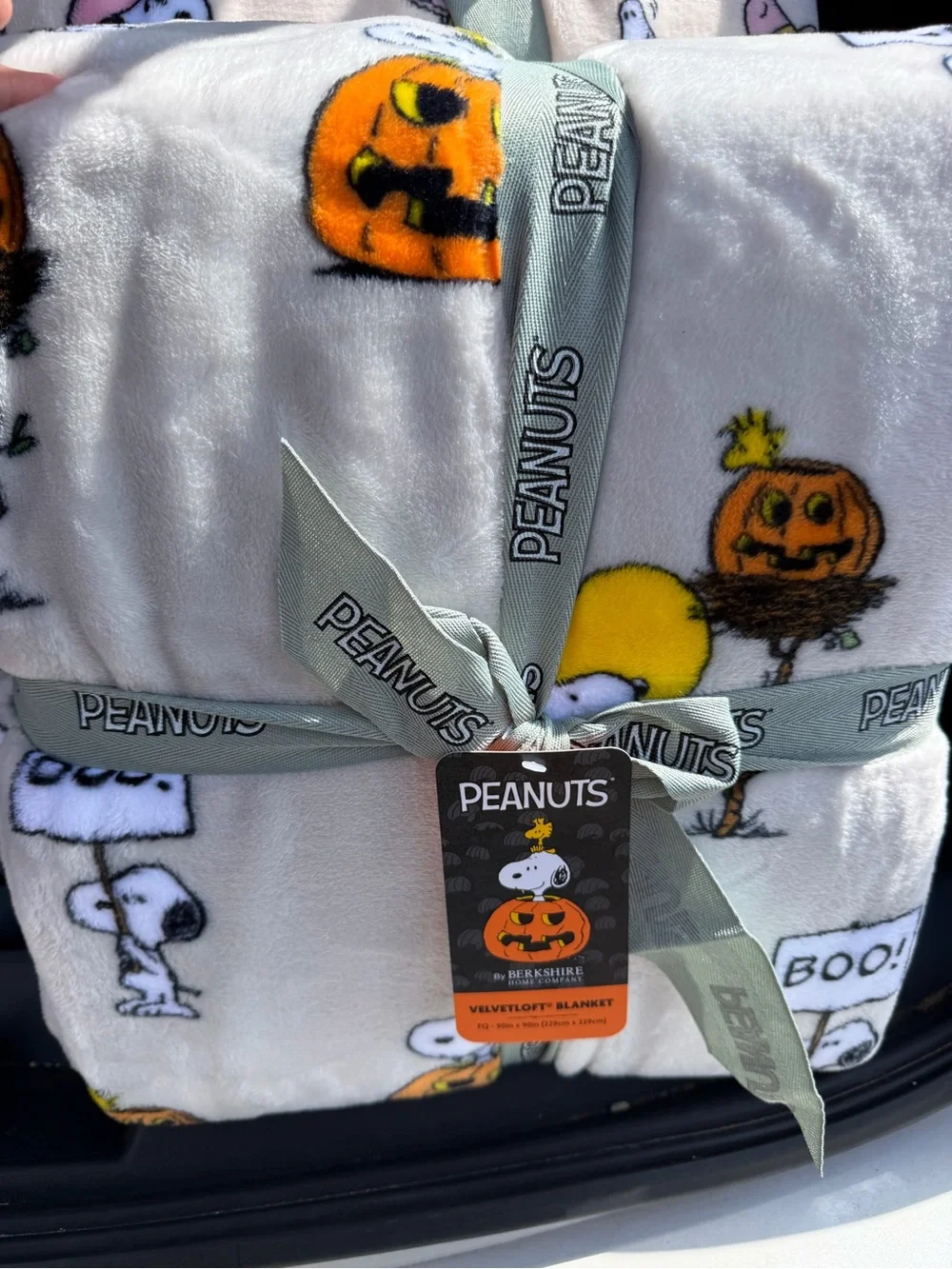 Peanuts Velvetloft White & Orange Halloween Pumpkin Throw Blanket